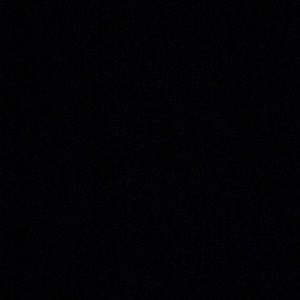 Meet your Posher, Celeste